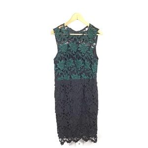Hutch Anthropologie Dress Lace Sheath